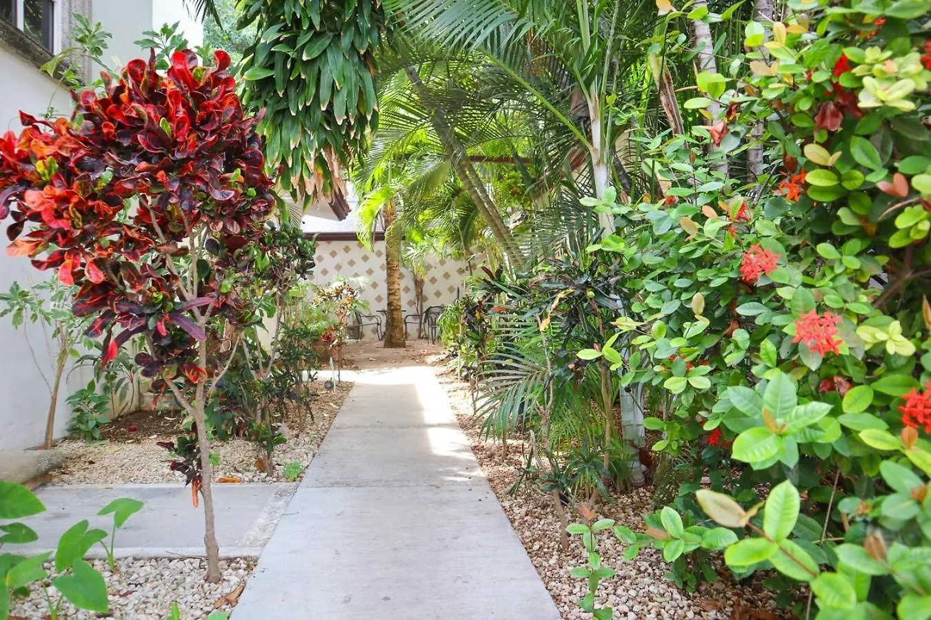 Close To Beach, Quinta,Ferry To Cozumel And Xcaret Πλάγια Ντελ Κάρμεν 0*,  Μεξικό