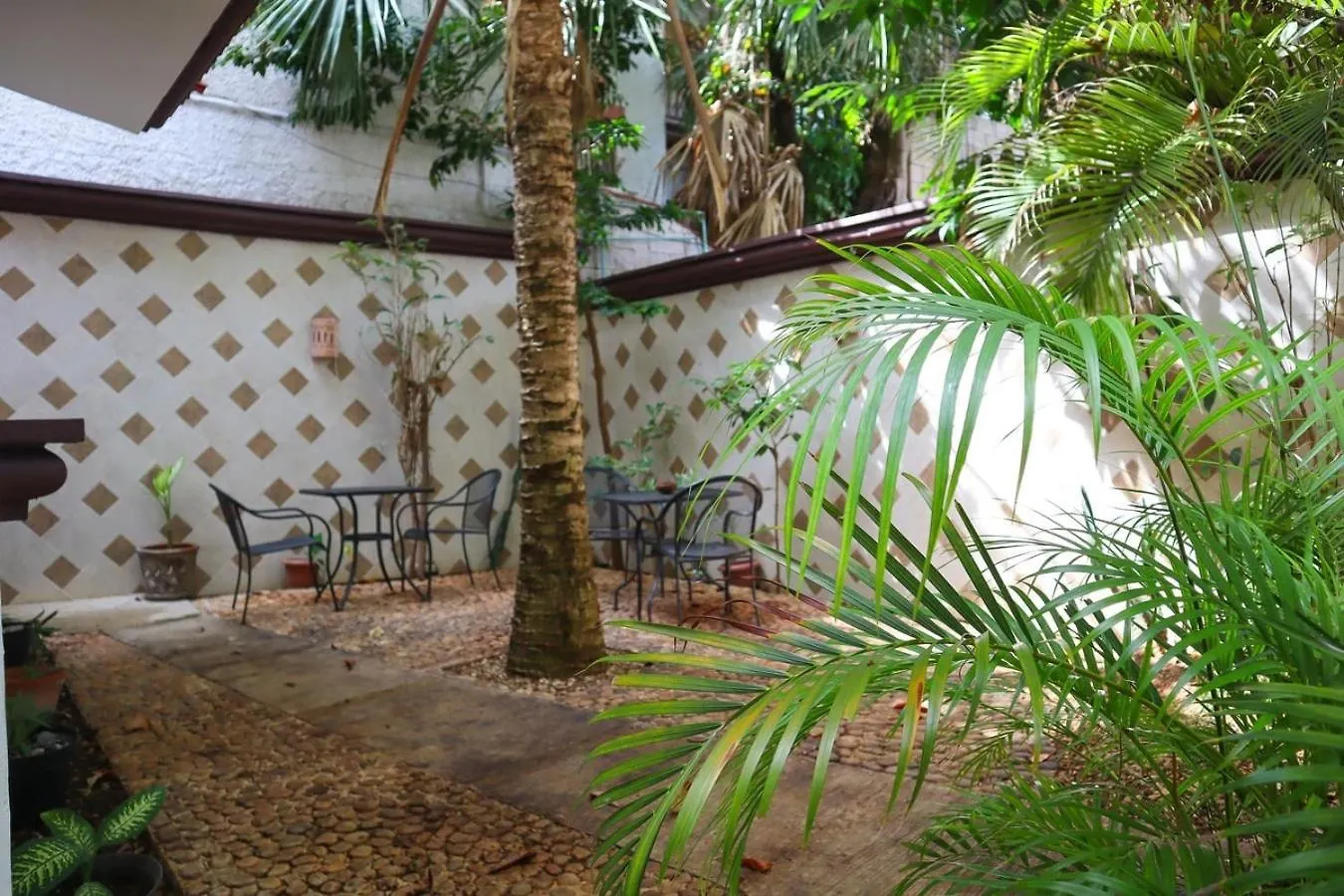 Close To Beach, Quinta,Ferry To Cozumel And Xcaret Πλάγια Ντελ Κάρμεν 0*,